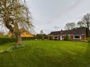 Front garden- click for photo gallery